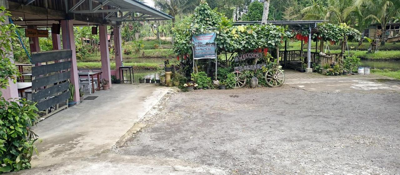Talaga Tomohon Home Stay And Fishing Pond Zewnętrze zdjęcie