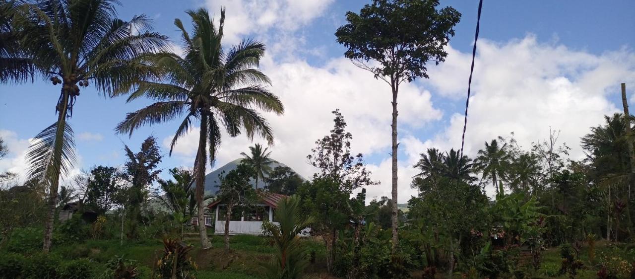 Talaga Tomohon Home Stay And Fishing Pond Zewnętrze zdjęcie