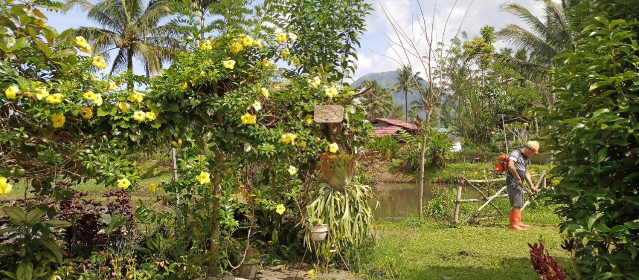 Talaga Tomohon Home Stay And Fishing Pond Zewnętrze zdjęcie