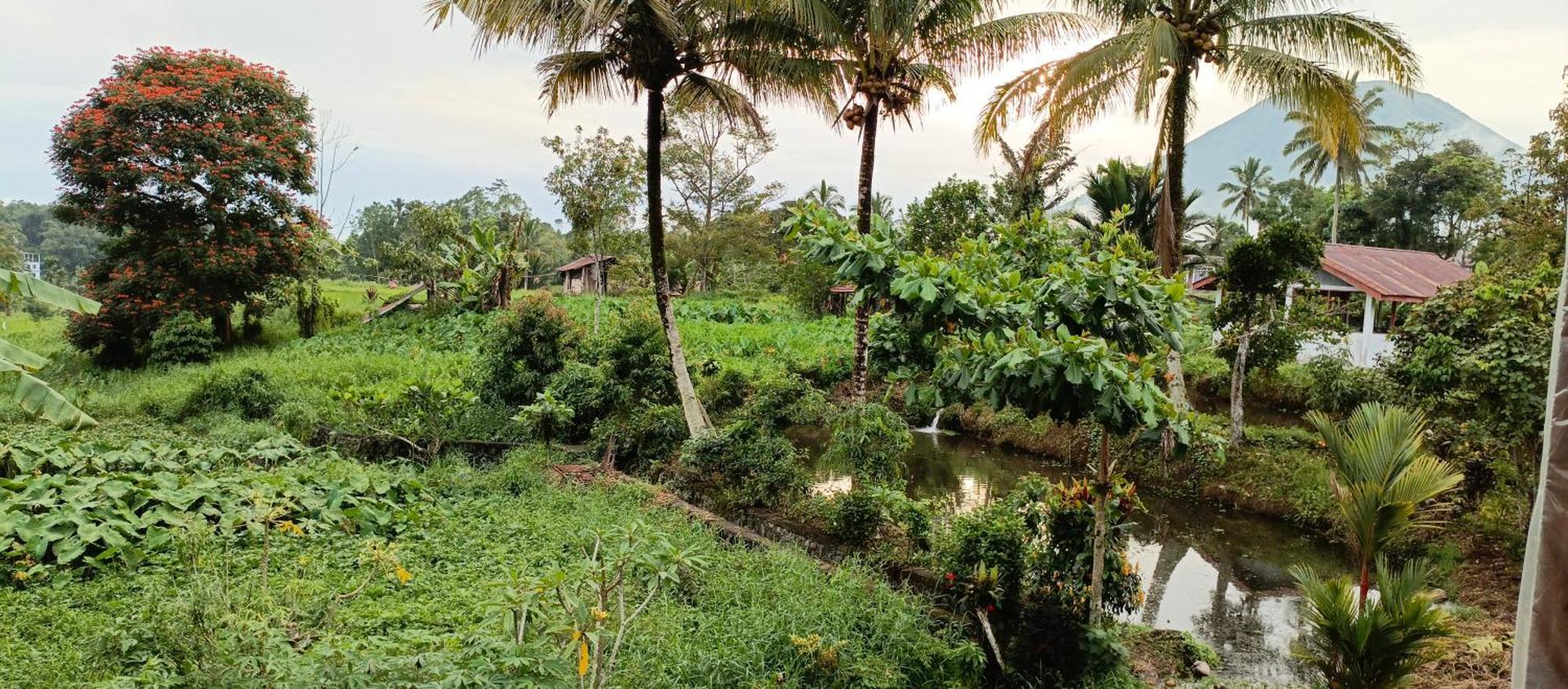 Talaga Tomohon Home Stay And Fishing Pond Zewnętrze zdjęcie