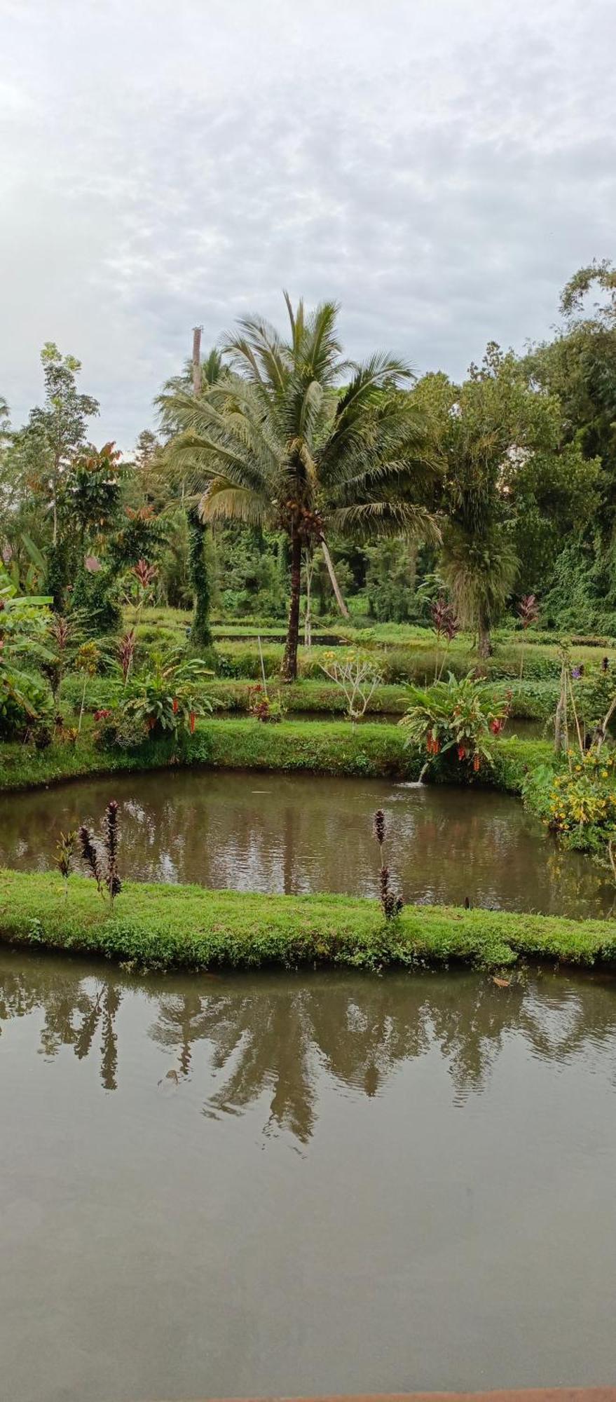 Talaga Tomohon Home Stay And Fishing Pond Zewnętrze zdjęcie