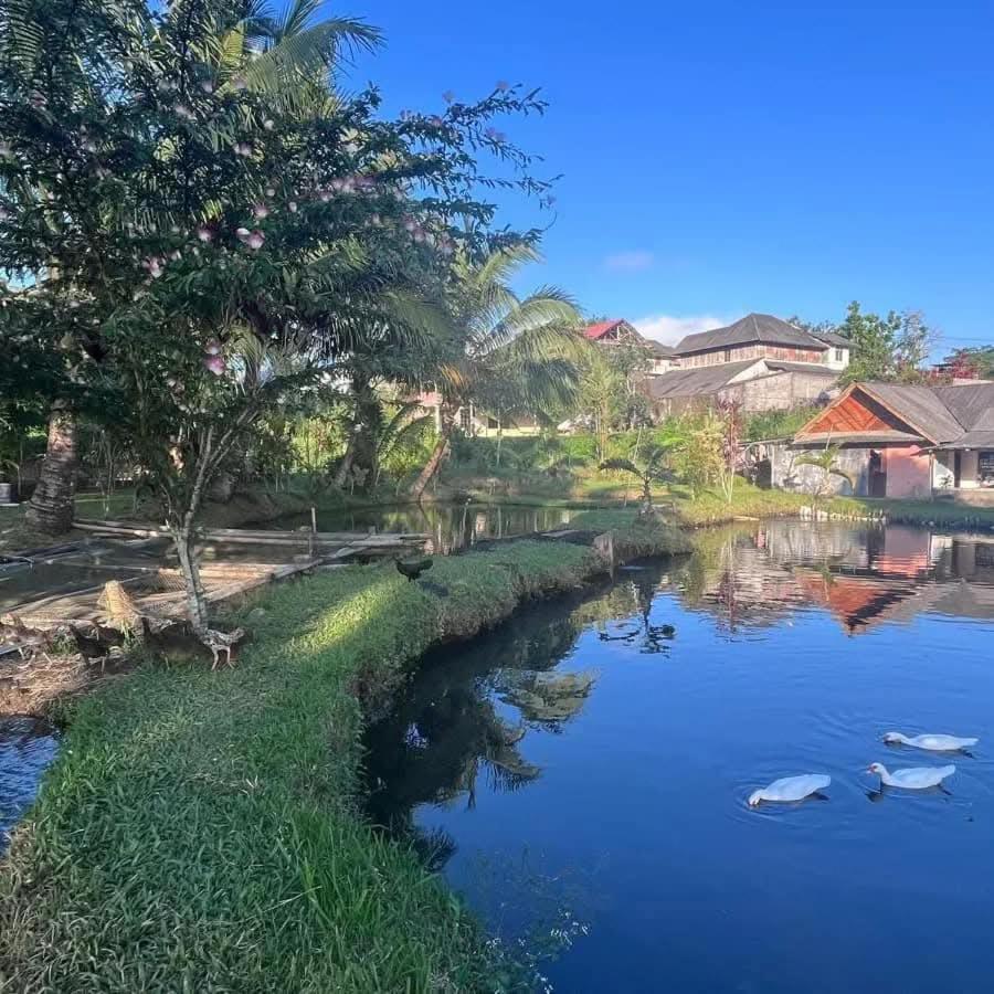 Talaga Tomohon Home Stay And Fishing Pond Zewnętrze zdjęcie