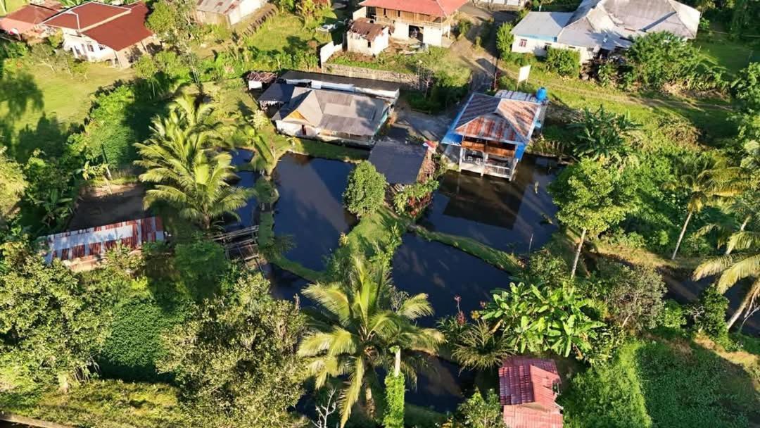 Talaga Tomohon Home Stay And Fishing Pond Zewnętrze zdjęcie